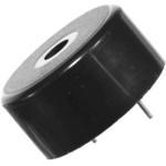 IP303012-1